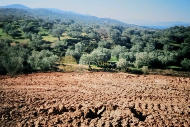 Οικόπεδο 6.150 τ.μ. προς πώληση, Αγιόκαμπος Αιδηψού