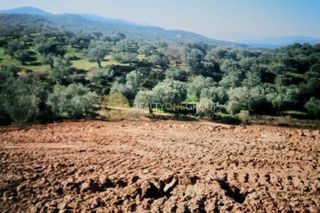 Οικόπεδο 6.150 τ.μ. για πώληση, Εύβοια, Αιδηψός-thumb-1