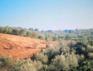 Οικόπεδο 6.150 τ.μ. για πώληση, Εύβοια, Αιδηψός-thumb-13