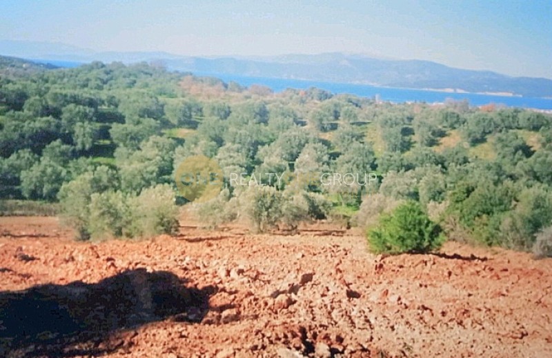Οικόπεδο 6.150 τ.μ. προς πώληση, Αγιόκαμπος Αιδηψού