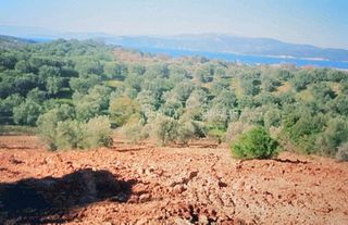 Οικόπεδο 6.150 τ.μ. για πώληση, Εύβοια, Αιδηψός-thumb-3