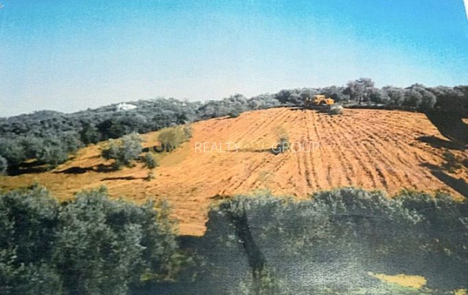 Οικόπεδο 6.150 τ.μ. για πώληση, Εύβοια, Αιδηψός
