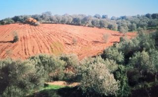 Οικόπεδο 6.150 τ.μ. για πώληση, Εύβοια, Αιδηψός-thumb-10