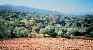 Οικόπεδο 6.150 τ.μ. για πώληση, Εύβοια, Αιδηψός-thumb-15