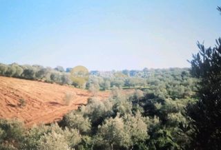 Οικόπεδο 6.150 τ.μ. για πώληση, Εύβοια, Αιδηψός-thumb-7