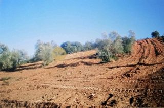 Οικόπεδο 6.150 τ.μ. για πώληση, Εύβοια, Αιδηψός-thumb-6