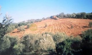 Οικόπεδο 6.150 τ.μ. για πώληση, Εύβοια, Αιδηψός-thumb-9