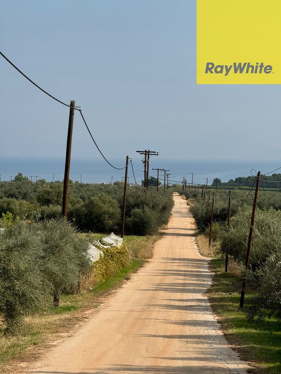 Οικόπεδο 20.000 τ.μ. προς πώληση, Βέλο