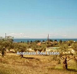 Αγροτεμάχια 16.500 τ.μ. για πώληση