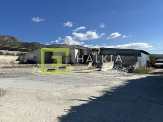 Οικόπεδο 4.000 τ.μ. προς ενοικίαση, Χιλιαδού Βόλου-thumb-6