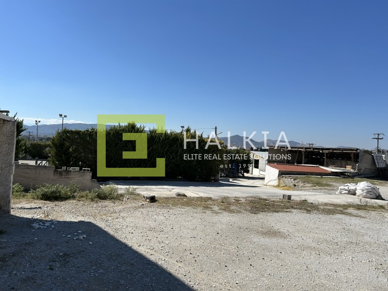 Οικόπεδο 4.000 τ.μ. προς ενοικίαση, Μαγνησία, Βόλος