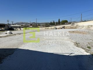 Οικόπεδο 4.000 τ.μ. προς ενοικίαση, Χιλιαδού Βόλου-thumb-3