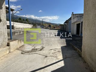 Οικόπεδο 4.000 τ.μ. προς ενοικίαση, Χιλιαδού Βόλου-thumb-5