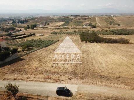 Αγροτεμάχια 6.970 τ.μ. πρός πώληση