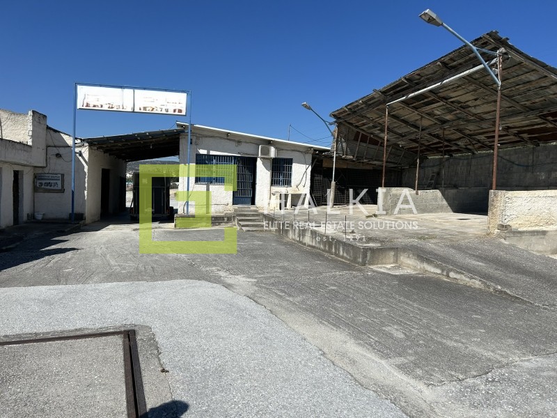 Οικόπεδο 1.083 τ.μ. προς ενοικίαση, Μαγνησία, Βόλος