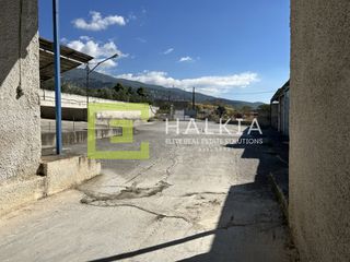 Οικόπεδο 1.083 τ.μ. για ενοικίαση, Μαγνησία, Βόλος-thumb-3