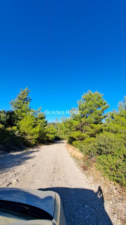 Αγροτεμάχια 23.000 τ.μ. πρός πώληση, Δωδεκάνησα, Ρόδος