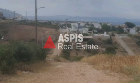 Οικόπεδο 646τ.μ. για πώληση-Ραφήνα
