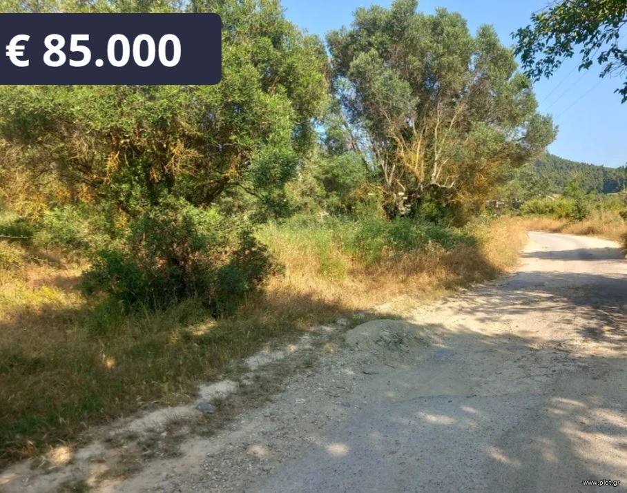 Αγροτεμάχια 7.500 τ.μ. πρός πώληση, Χαλκιδική, Κασσάνδρα