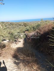 Αγροτεμάχια 1.538 τ.μ. για πώληση, Ν. Ρεθύμνου, Αρκάδι-thumb-1