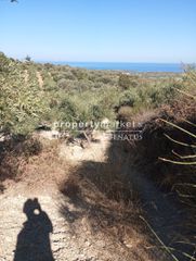 Αγροτεμάχια 1.538 τ.μ. για πώληση, Ν. Ρεθύμνου, Αρκάδι-thumb-2