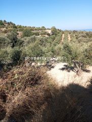 Αγροτεμάχια 1.538 τ.μ. για πώληση, Ν. Ρεθύμνου, Αρκάδι-thumb-3