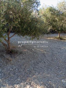 Parcel 1.538sqm for sale-Arkadi » Mesi