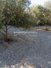 Αγροτεμάχια 1.538 τ.μ. για πώληση
