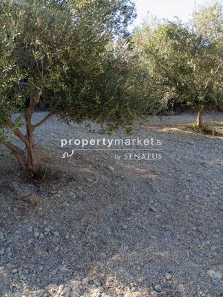 Αγροτεμάχια 1.538 τ.μ. για πώληση, Ν. Ρεθύμνου, Αρκάδι