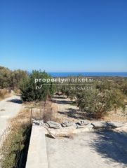 Αγροτεμάχια 2.000 τ.μ. για πώληση, Ν. Ρεθύμνου, Αρκάδι-thumb-3