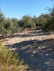 Αγροτεμάχια 2.000 τ.μ. για πώληση, Ν. Ρεθύμνου, Αρκάδι-thumb-1