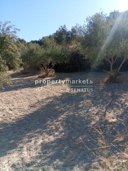 Parcel 2.000sqm for sale-Arkadi » Mesi