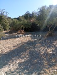 Αγροτεμάχια 2.000 τ.μ. για πώληση