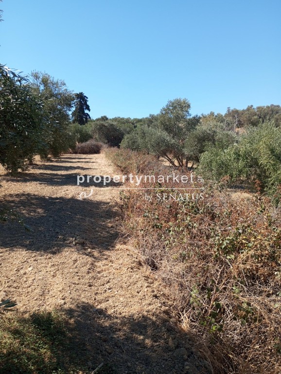 Parcel 3.000 sqm for sale, Rethymno Prefecture, Arkadi