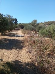 Αγροτεμάχια 3.000 τ.μ. για πώληση, Ν. Ρεθύμνου, Αρκάδι-thumb-2