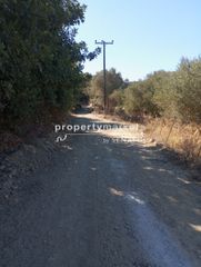 Αγροτεμάχια 3.000 τ.μ. για πώληση, Ν. Ρεθύμνου, Αρκάδι-thumb-4