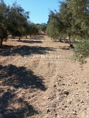 Οικόπεδο 1.639 τ.μ. για πώληση, Ν. Ρεθύμνου, Αρκάδι-thumb-5