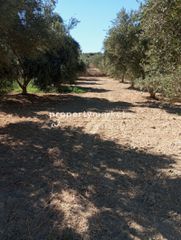 Οικόπεδο 1.639 τ.μ. για πώληση, Ν. Ρεθύμνου, Αρκάδι-thumb-3
