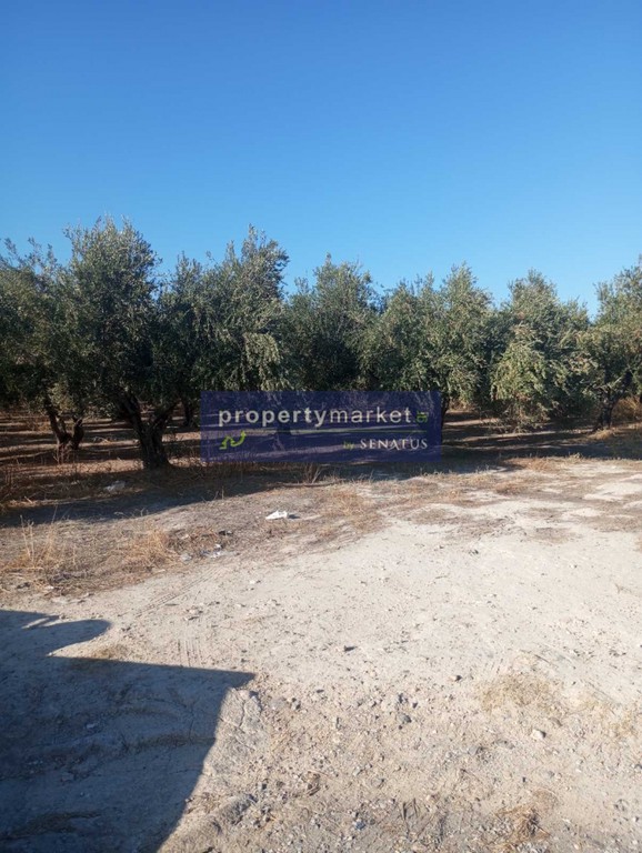 Οικόπεδο 4.000 τ.μ. πρός πώληση, Ν. Ρεθύμνου, Αρκάδι