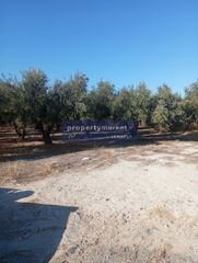 Οικόπεδο 4.000 τ.μ. για πώληση
