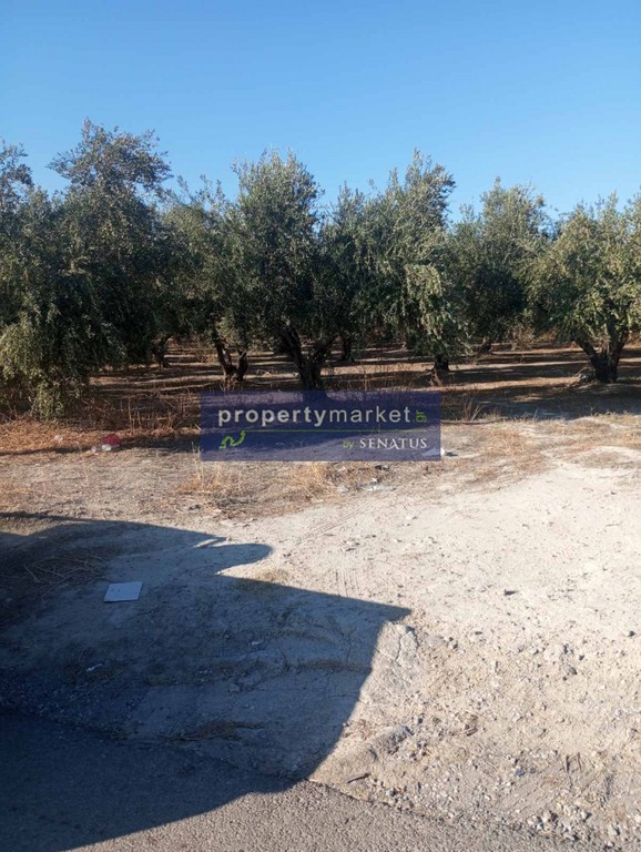 Οικόπεδο 4.000 τ.μ. πρός πώληση, Ν. Ρεθύμνου, Αρκάδι