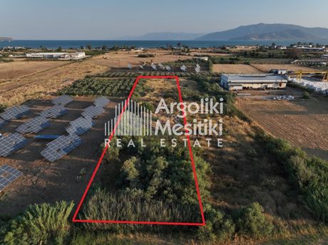 Αγροτεμάχια 5.200τ.μ. για πώληση-Νέα κίος » Κέντρο