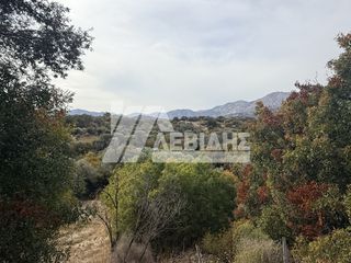 Οικόπεδο 502,74 τ.μ. για πώληση, Ν. Χίου, Χίος-thumb-4