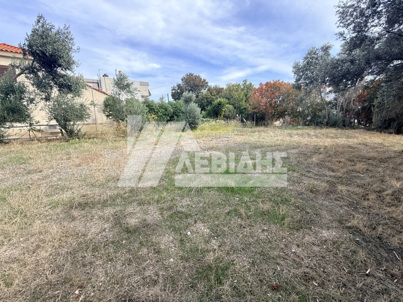 Οικόπεδο 502,74 τ.μ. για πώληση, Ν. Χίου, Χίος