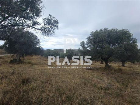 Οικόπεδο 9.000τ.μ. για πώληση-Κερατέα