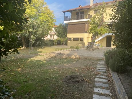 Μονοκατοικία 360τ.μ. για πώληση-Πορταριά » Άλλη μεριά