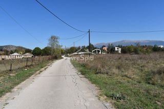 Αγροτεμάχια 8.500 τ.μ. για πώληση