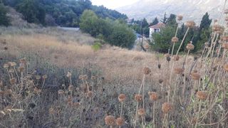Οικόπεδο 540 τ.μ. για πώληση, Ν. Λευκάδας, Λευκάδα-thumb-2