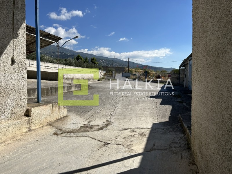 Αγροτεμάχια 4.440 τ.μ. προς πώληση, Χιλιαδού Βόλου