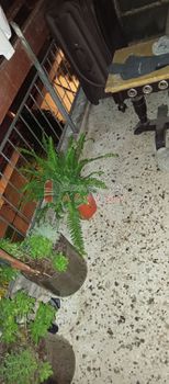 Διαμέρισμα 52 τ.μ. προς πώληση